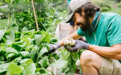 Warm Soil & Cool Air Temperatures: Perfect Duo To Start Planting This Fall