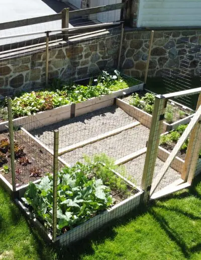 overhead view of raised bed garden