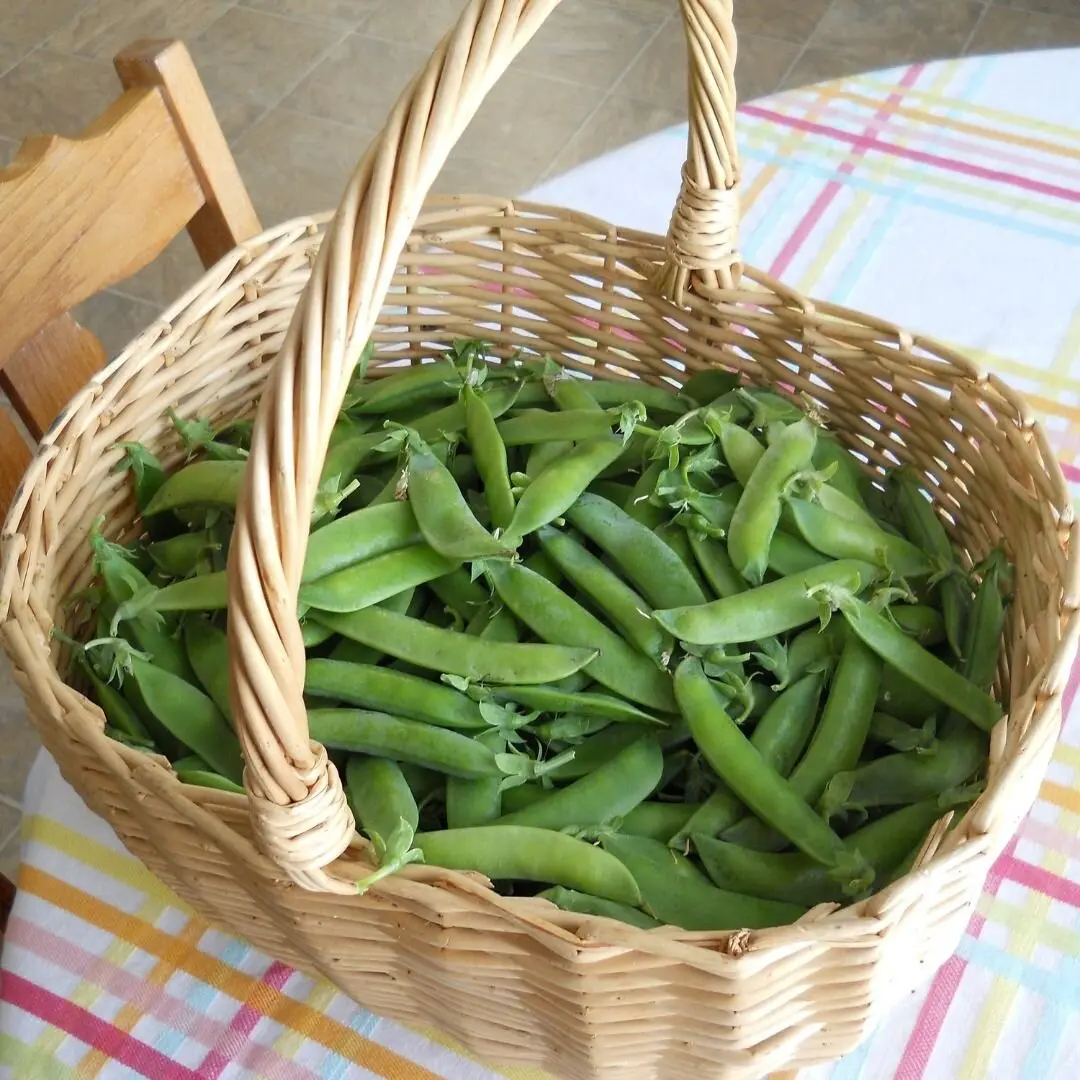 Photo of a basket of snap peas