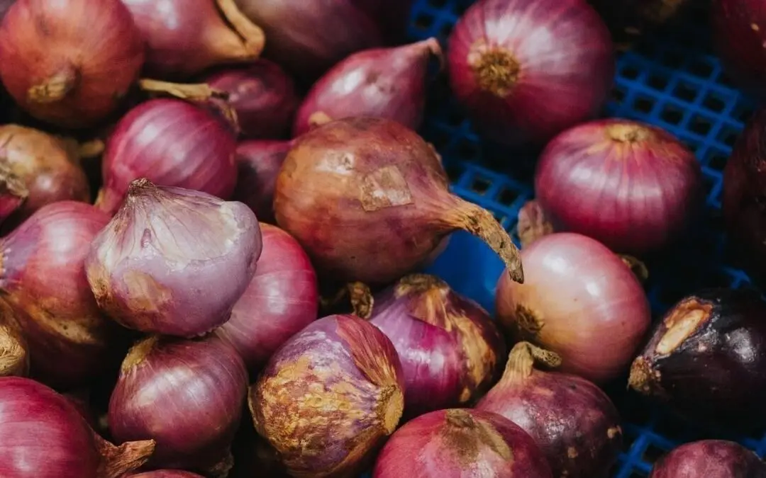 Shallots