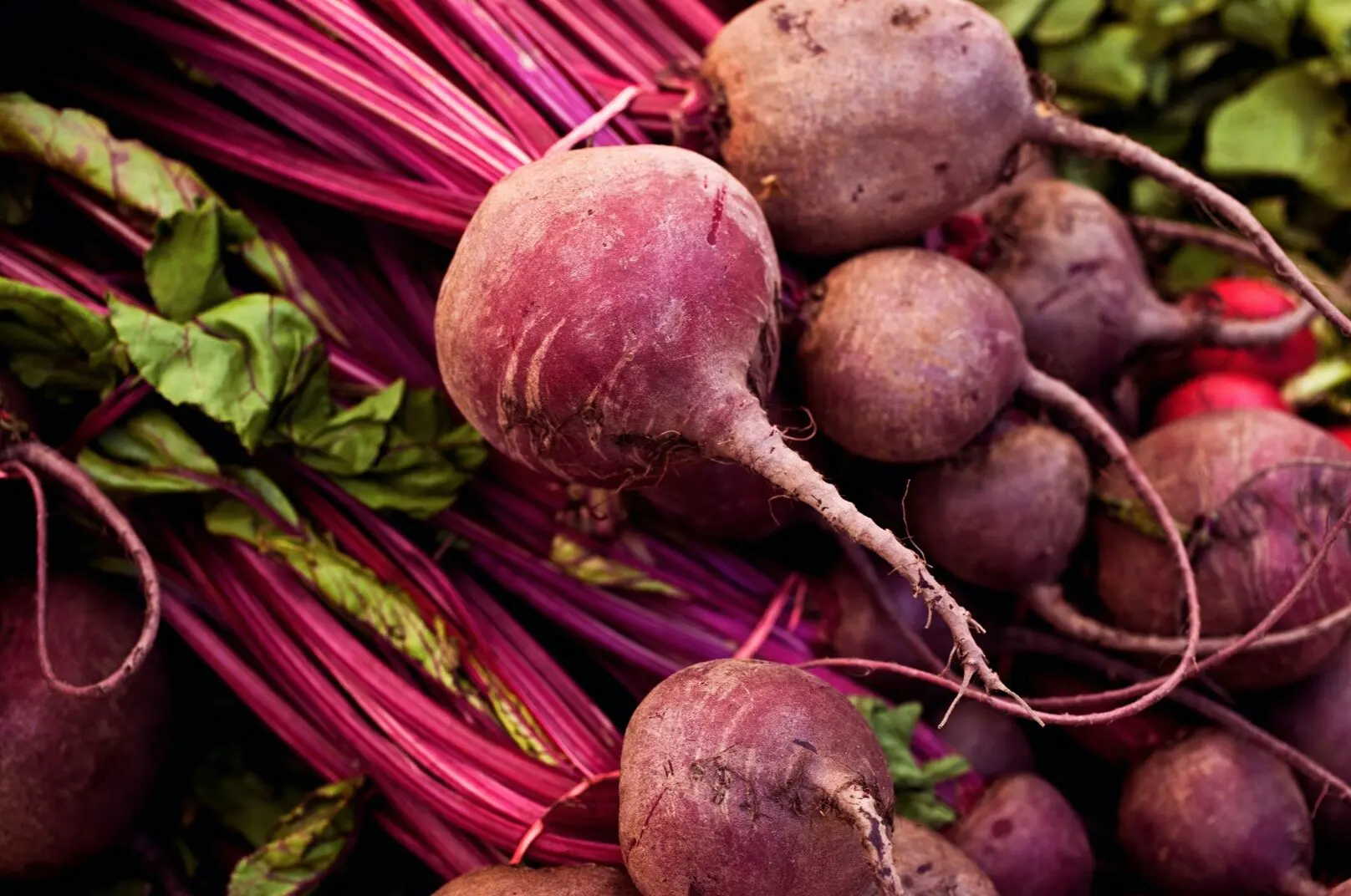 Photo of fresh beets