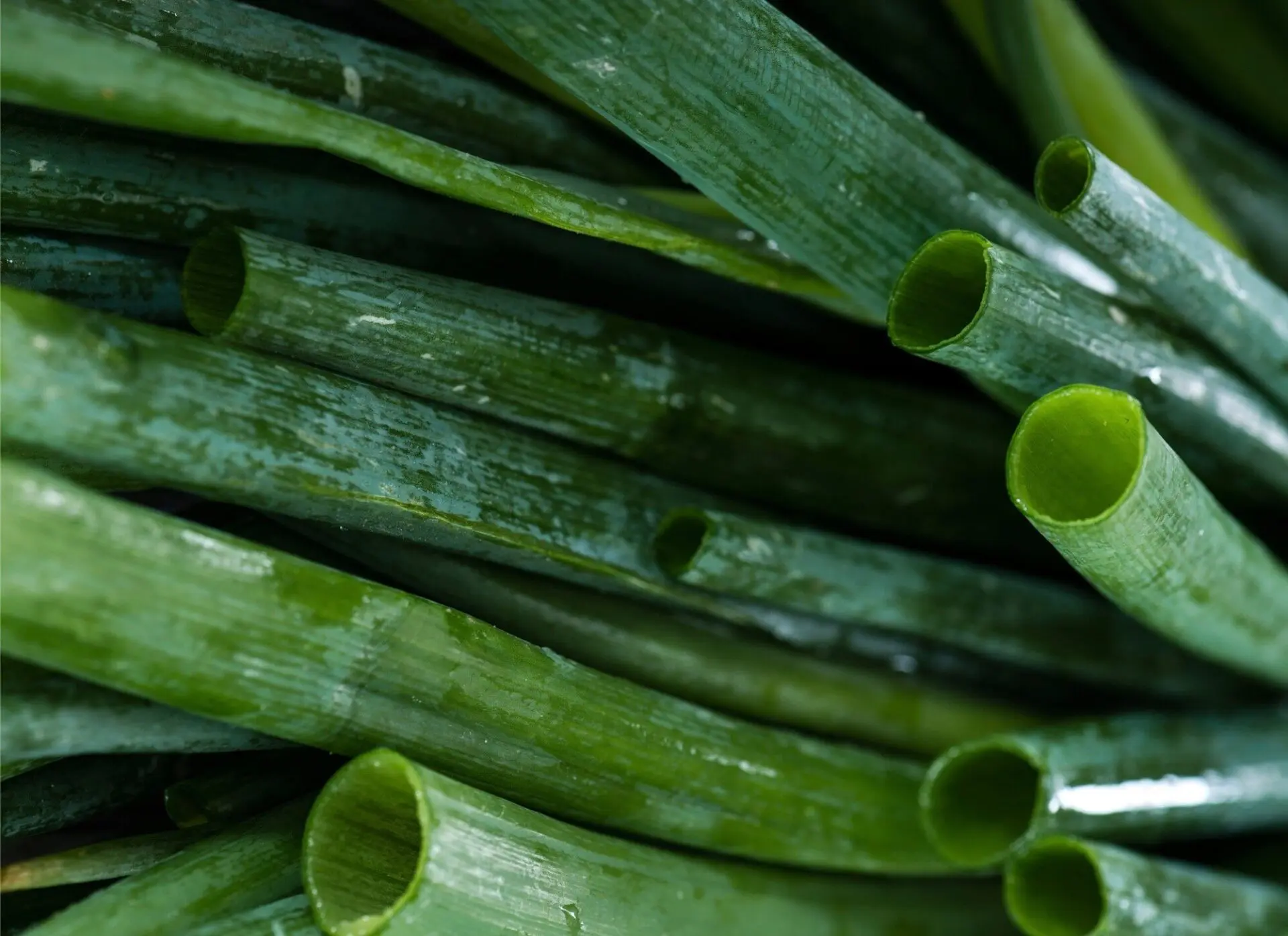 Detail view of chive or scallion stems cut in half