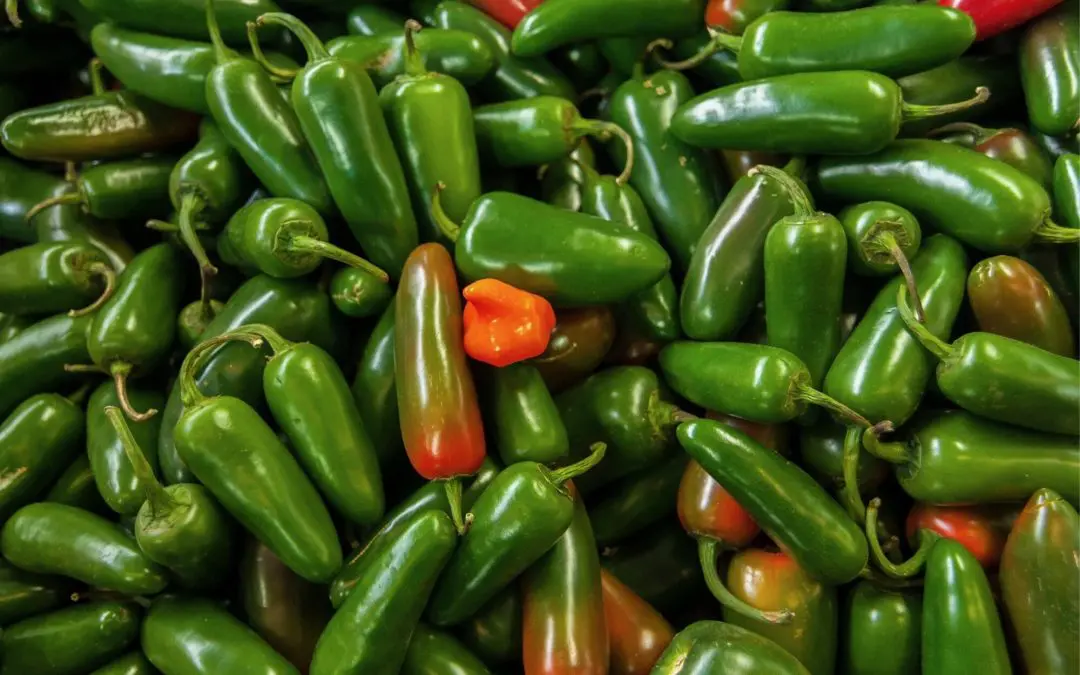 Hot Peppers