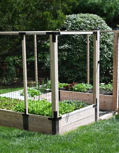 Photo of a square raised bed garden with deer-resistant panel fencing