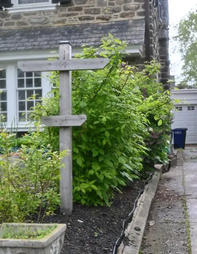 Photo of cedar berry trellis in a front yard foodscape