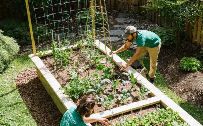 Turn Your Backyard Into a Learning & Fun Experience