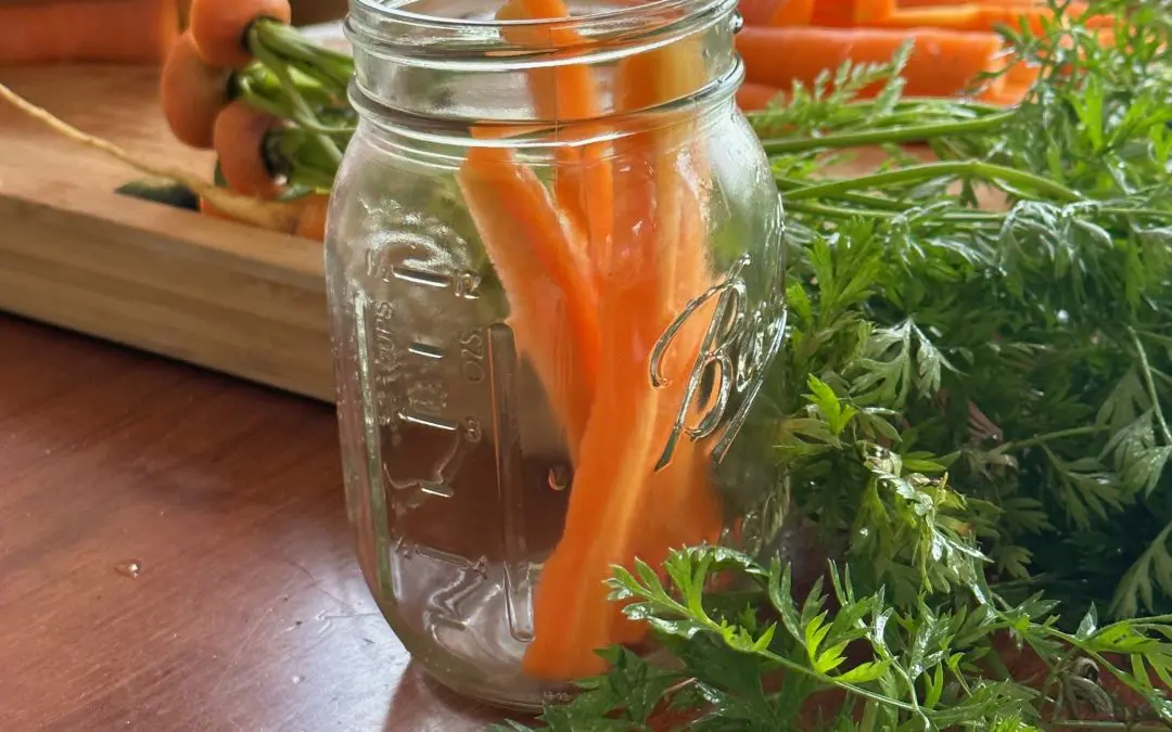 Lacto-Fermentation Recipe