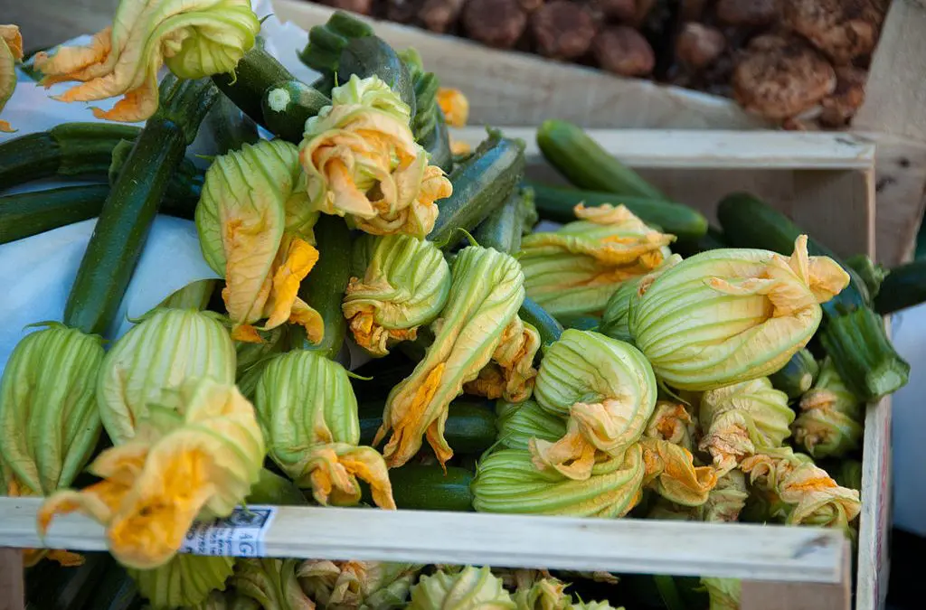 Stuffed Zucchini Blossoms