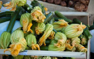 Stuffed Zucchini Blossoms