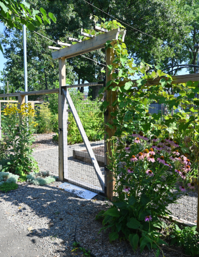 Gate at Ambler Community Garden