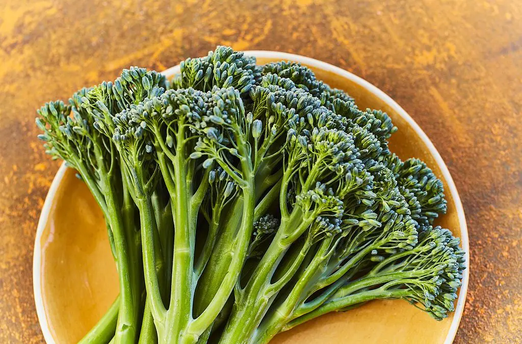 Sautéed Broccoli Rabe with Garlic and Crushed Red Pepper