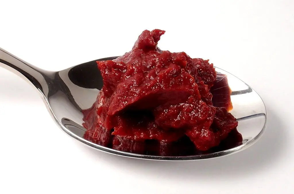 Homemade Tomato Paste