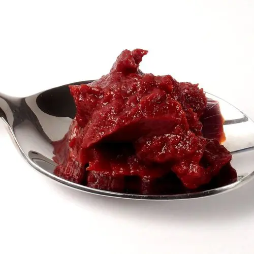 Tomato paste on a spoon