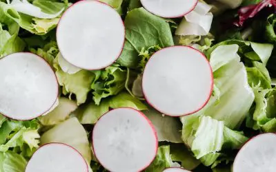 Radish and White Bean Salad