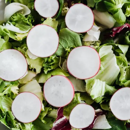 Photo of salad with radishes from Wild Hearth and Home