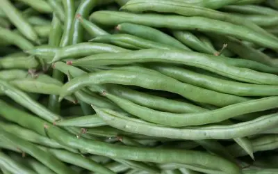 Dill-Pickled Green Beans