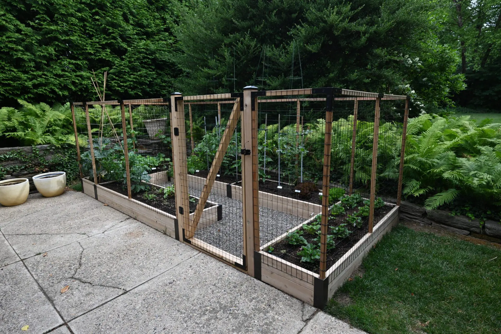 A narrow patio-sided raised bed garden with fencing