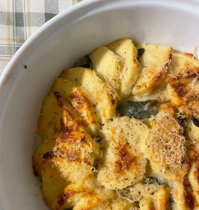 Summer Squash Gratin