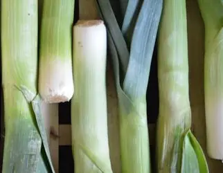 Leeks Vinaigrette