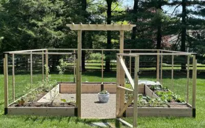 Designing Your Raised Bed Garden (Part 2: Layout and Sizing)