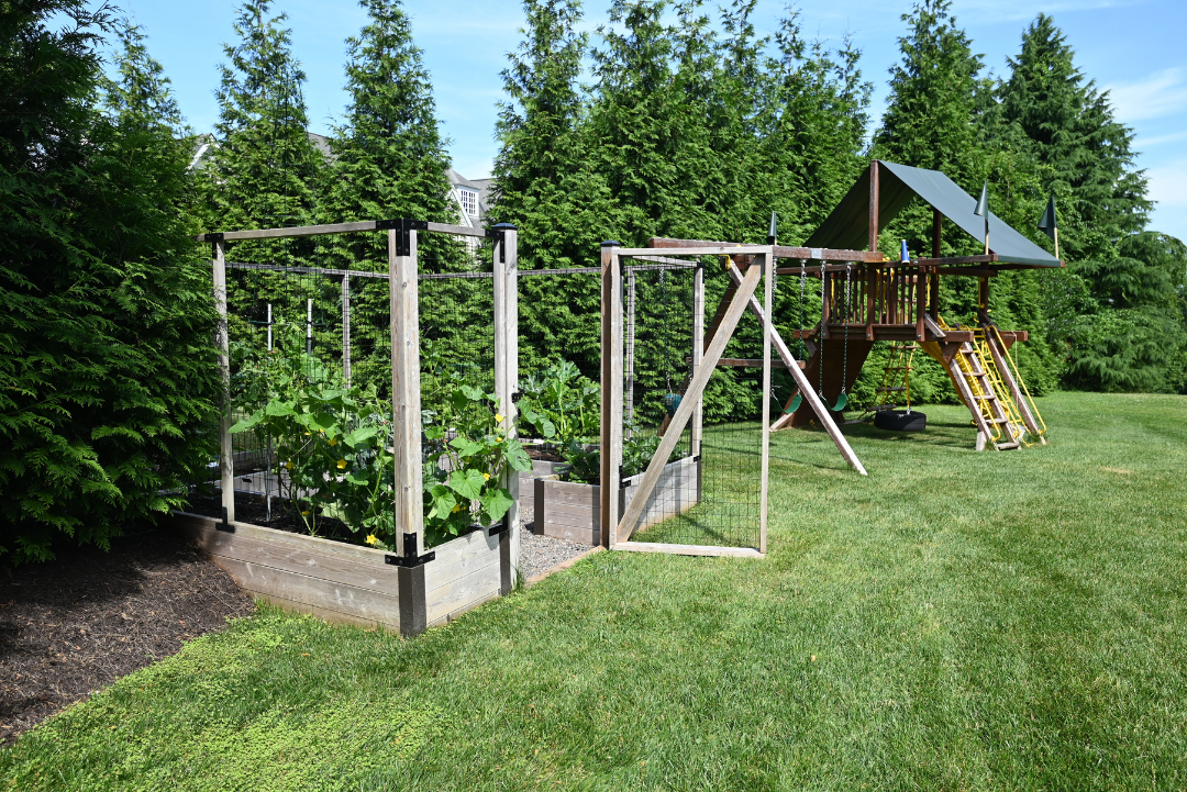 A backyard raised bed garden next to a family playset