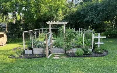 Personalized Gardening Success: Stories from the Backyard Eats Community