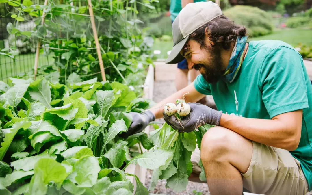 The Health Benefits of Growing Your Own Food