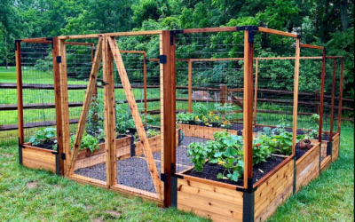 Raised Bed Fencing for a Pest-Free Garden