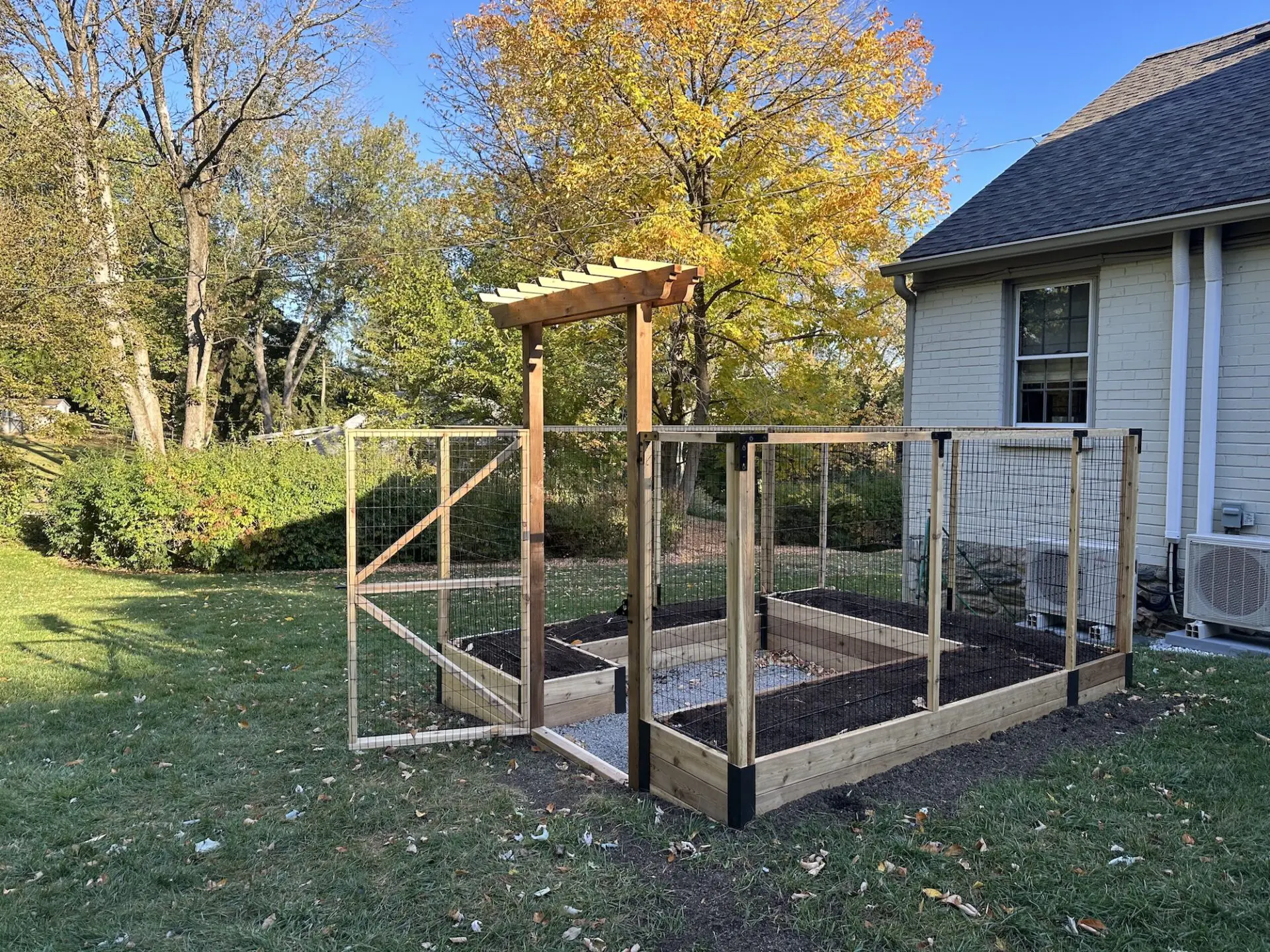 Baby greens in a raised bed