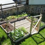 overhead view of edible garden