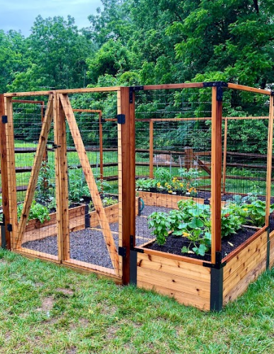 raised bed garden with double gate