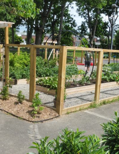 community garden with fencing