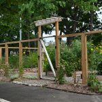 community garden with fencing
