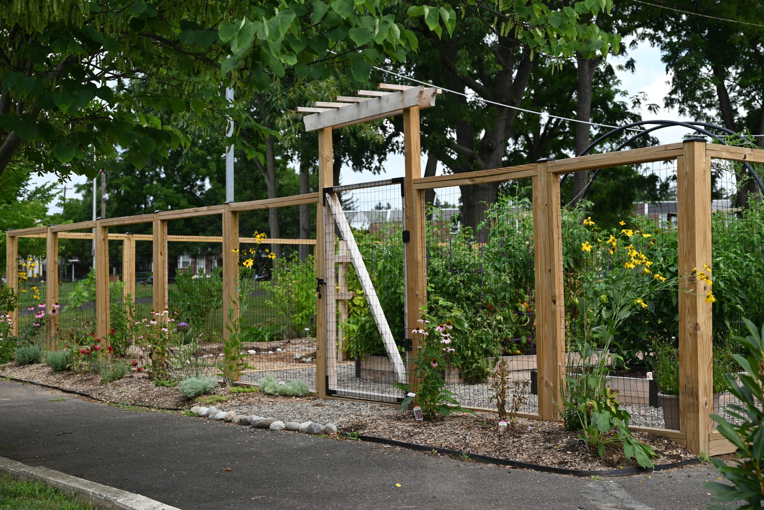 A community vegetable garden surrounded by a wooden panel fence with wire mesh designed to protect against pests. A wooden arbor frames the central gate.