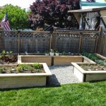 raised garden bed in backyard