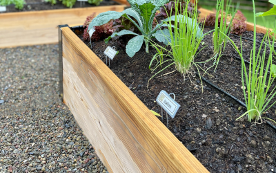 The Beginner’s Guide to Raised Bed Gardening: Benefits, Tips and Tricks