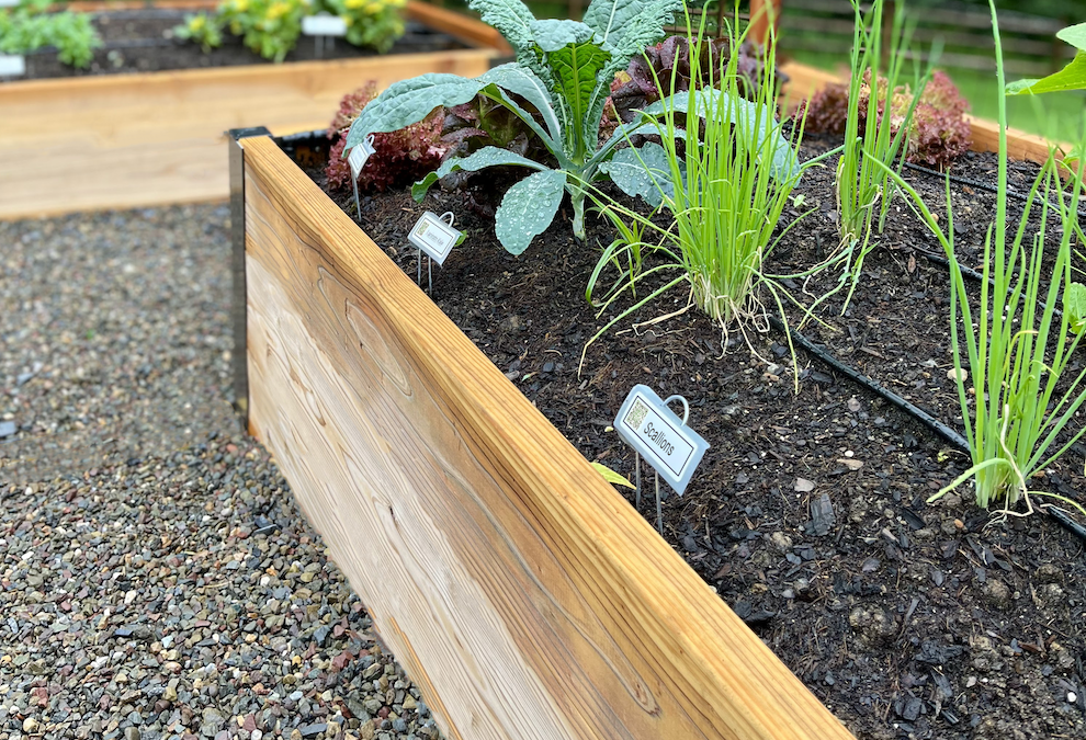 The Beginner’s Guide to Raised Bed Gardening: Benefits, Tips and Tricks