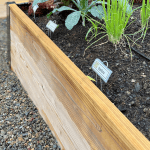 raised garden bed