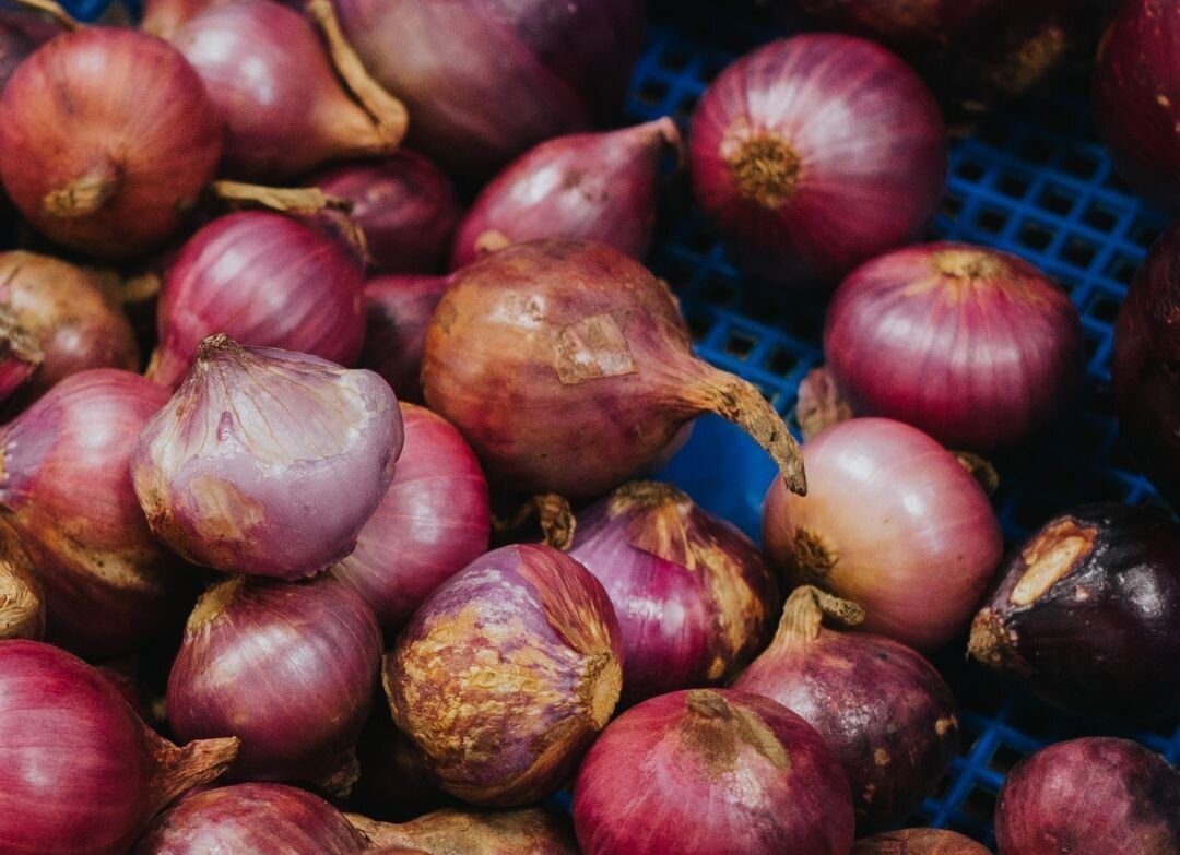 Shallot Confit with Red Wine //