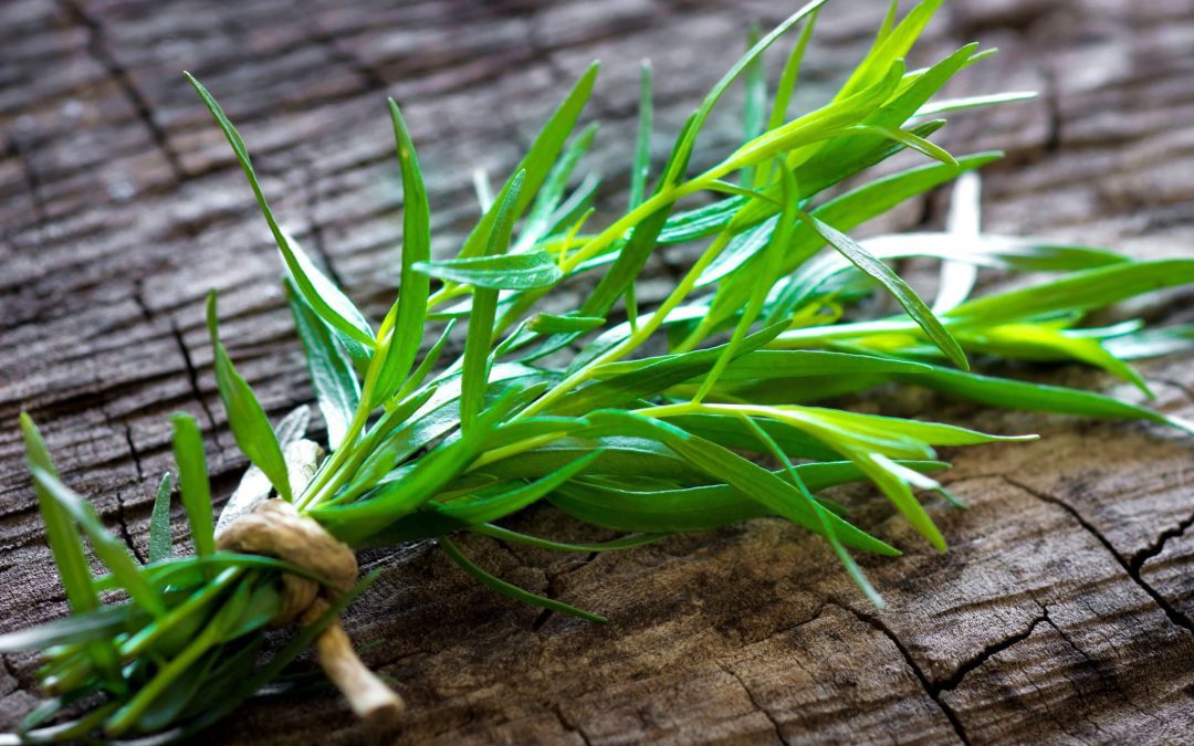 Tarragon