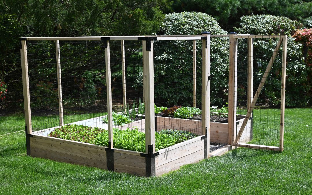 5 Tips on How To Keep Your Edible Garden Healthy