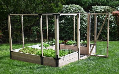 Planning Your Raised Bed Garden (Part 1: Location)