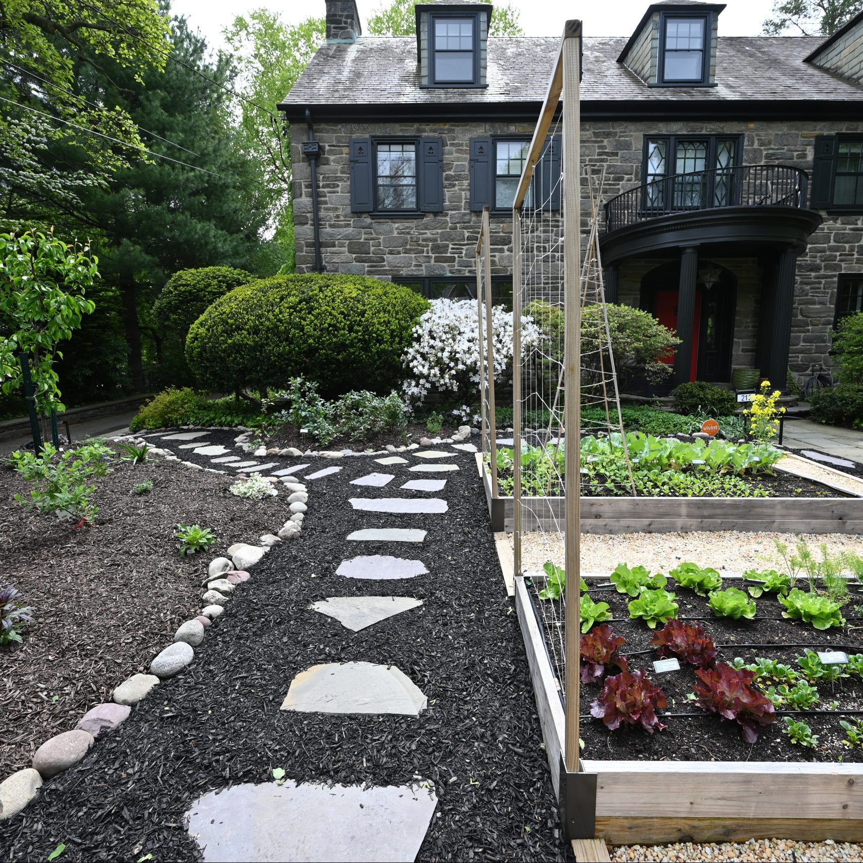 Photo of raised bed garden and food forest connected by a stepping stone pathway