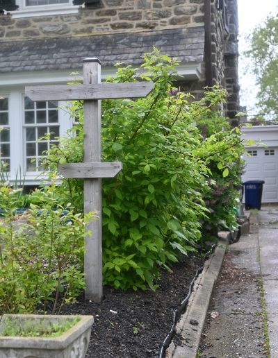 Photo of cedar berry trellis in a front yard foodscape