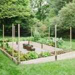 Raised bed garden on a slope with mesh fencing