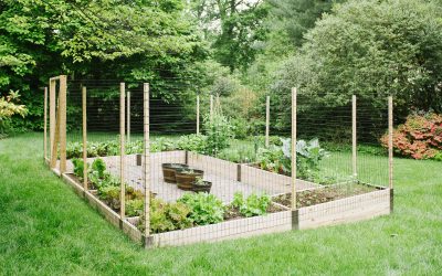 Full-Service Gardening: Fall Planting, Keyhole Gardens, and More