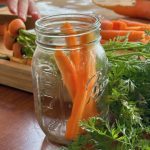 Carrots in a jar ready for pickling