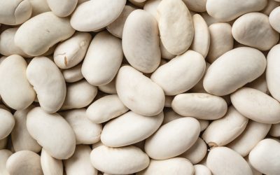 White Bean and Turnip Salad with Roasted Garlic Scapes