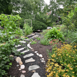 Photo of food forest with pathway, perennials, and a fruit tree