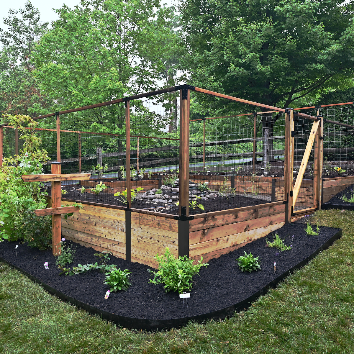 A wooden raised bed garden sits built into a heavily sloped lawn. A protective panel fence rises up out of the metal hardware of the raised beds.